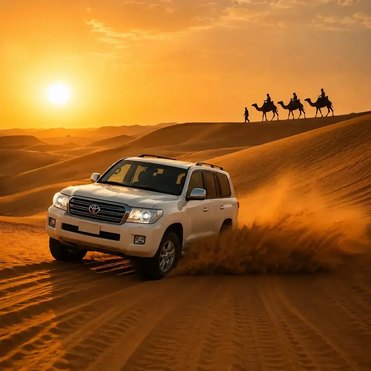 Desert Safari Travel Experience