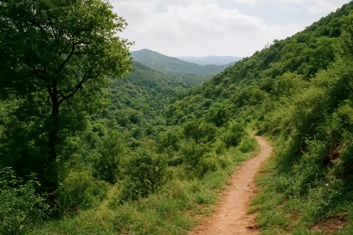 4. Go on a Nature Walk in the Surrounding Hills - YahTrip Travel Guide
