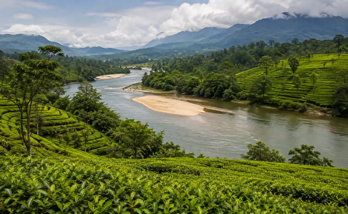 Assam