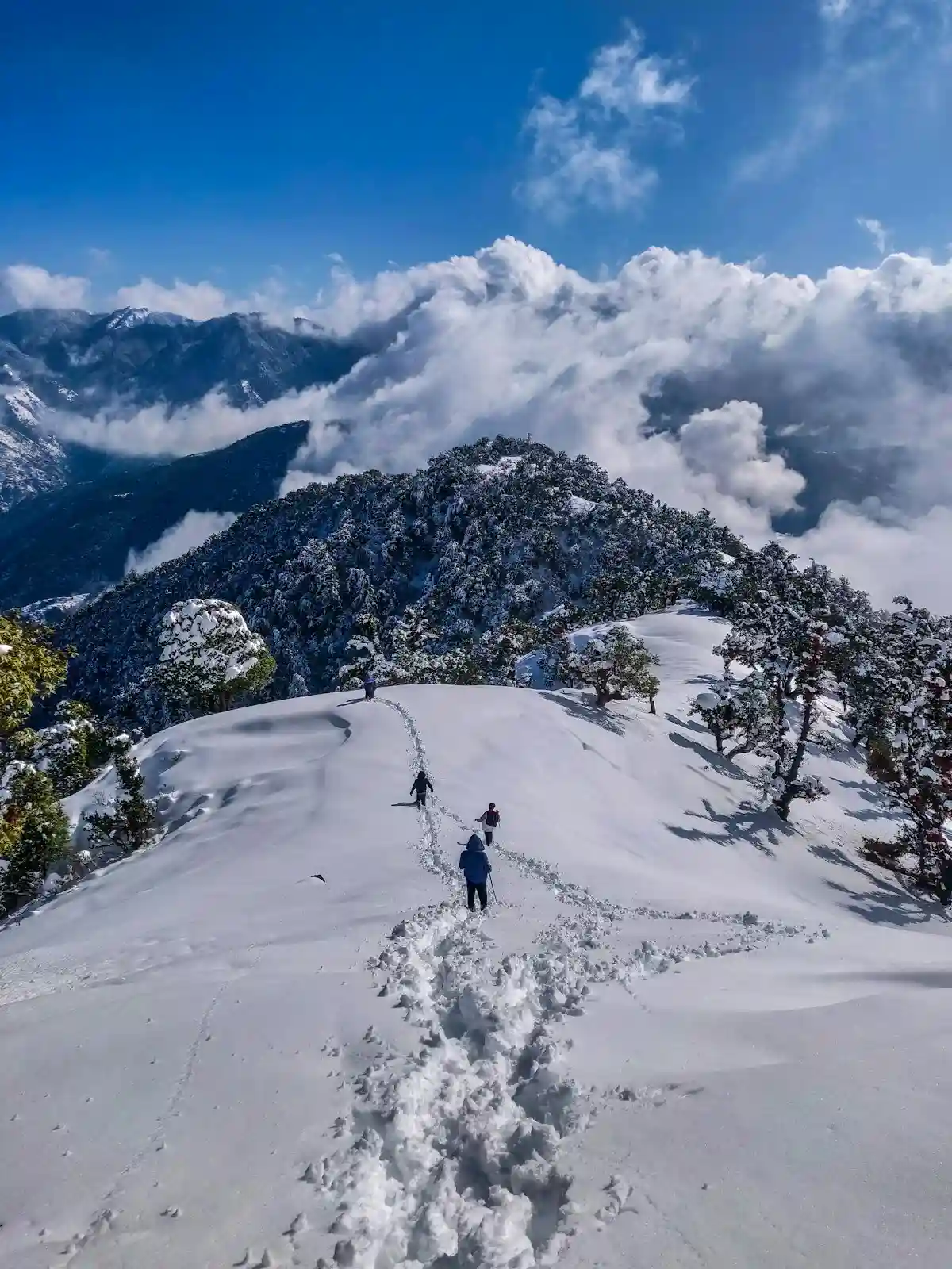 Luxury Udaipur Honeymoon & Family Special