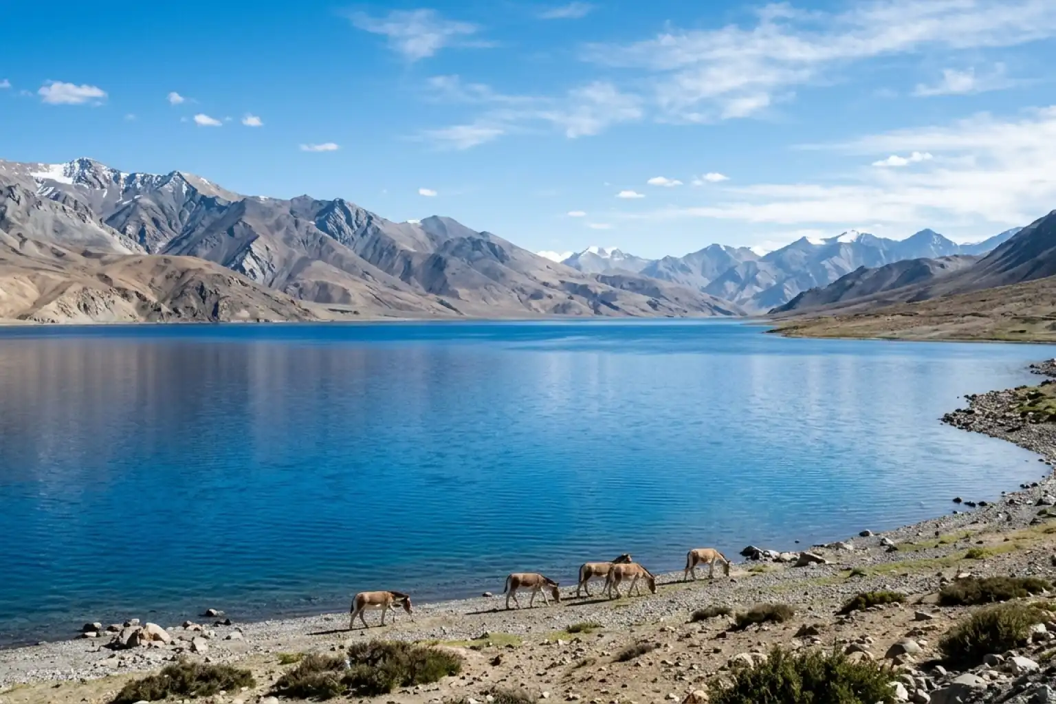 15. Tso Moriri Lake - YahTrip Travel Guide