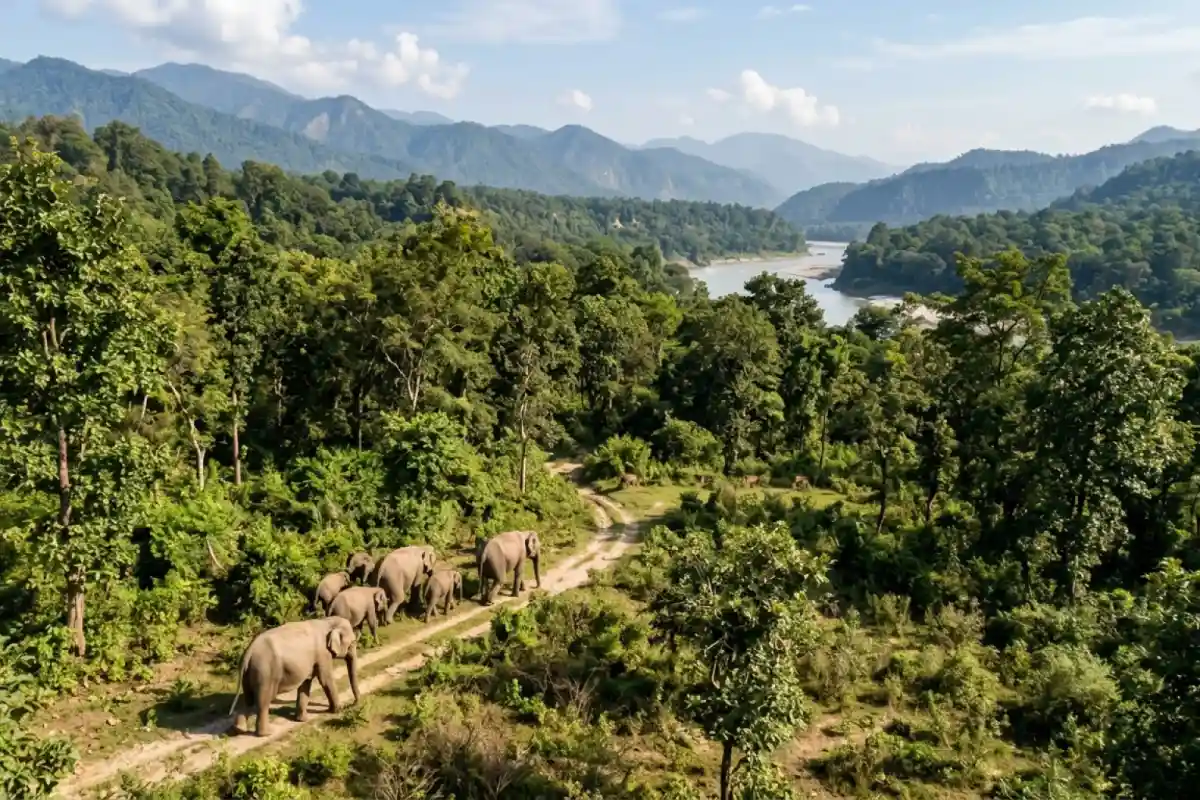 4. Rajaji National Park - YahTrip Travel Guide