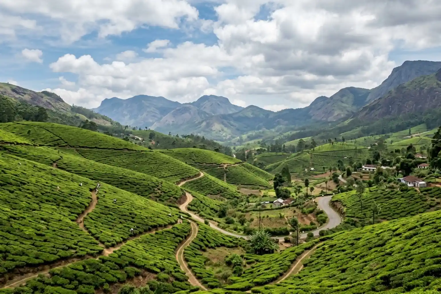 16. Kannan Devan Hills - YahTrip Travel Guide