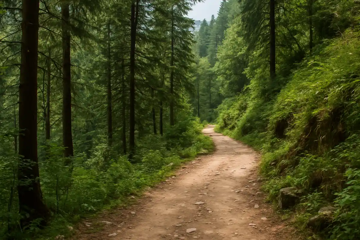 19. Hiking Trails - YahTrip Travel Guide