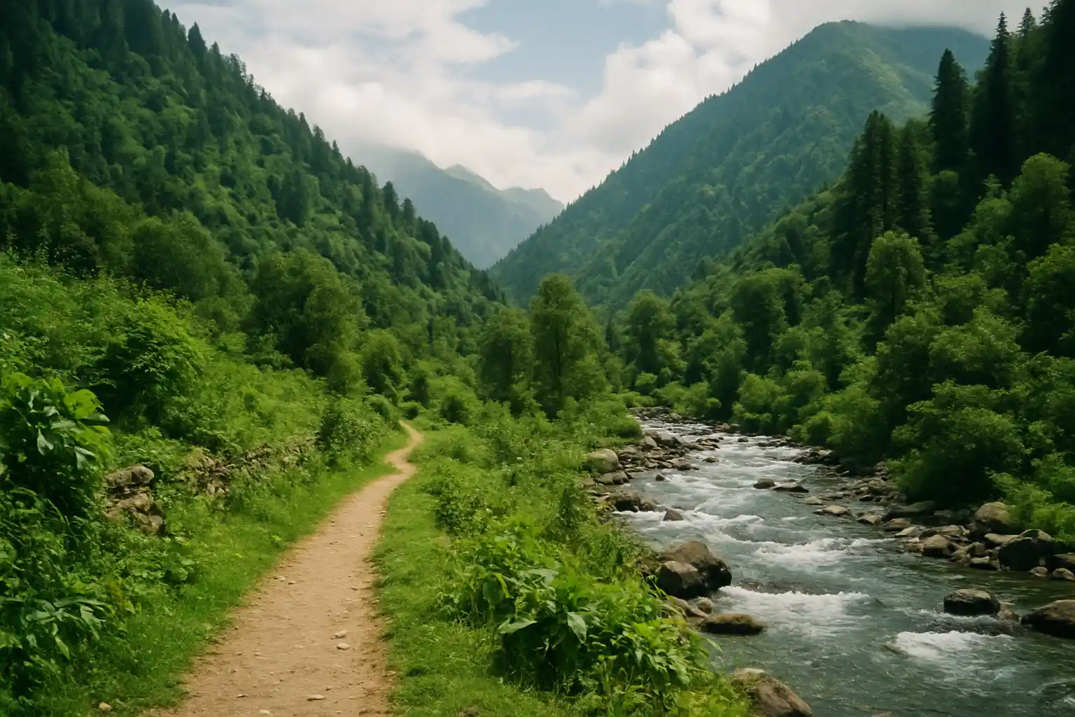 7. Go for a Nature Walk in Rakchham - YahTrip Travel Guide